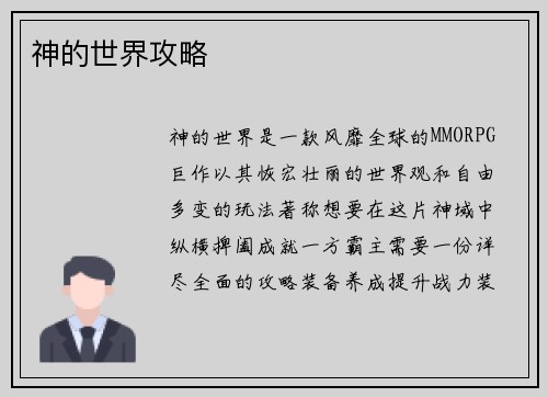 神的世界攻略